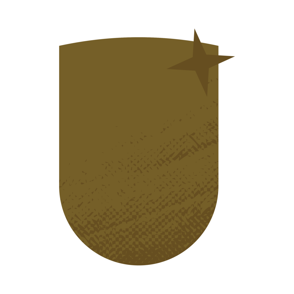 CNMA-Bronze-Membership-Icon